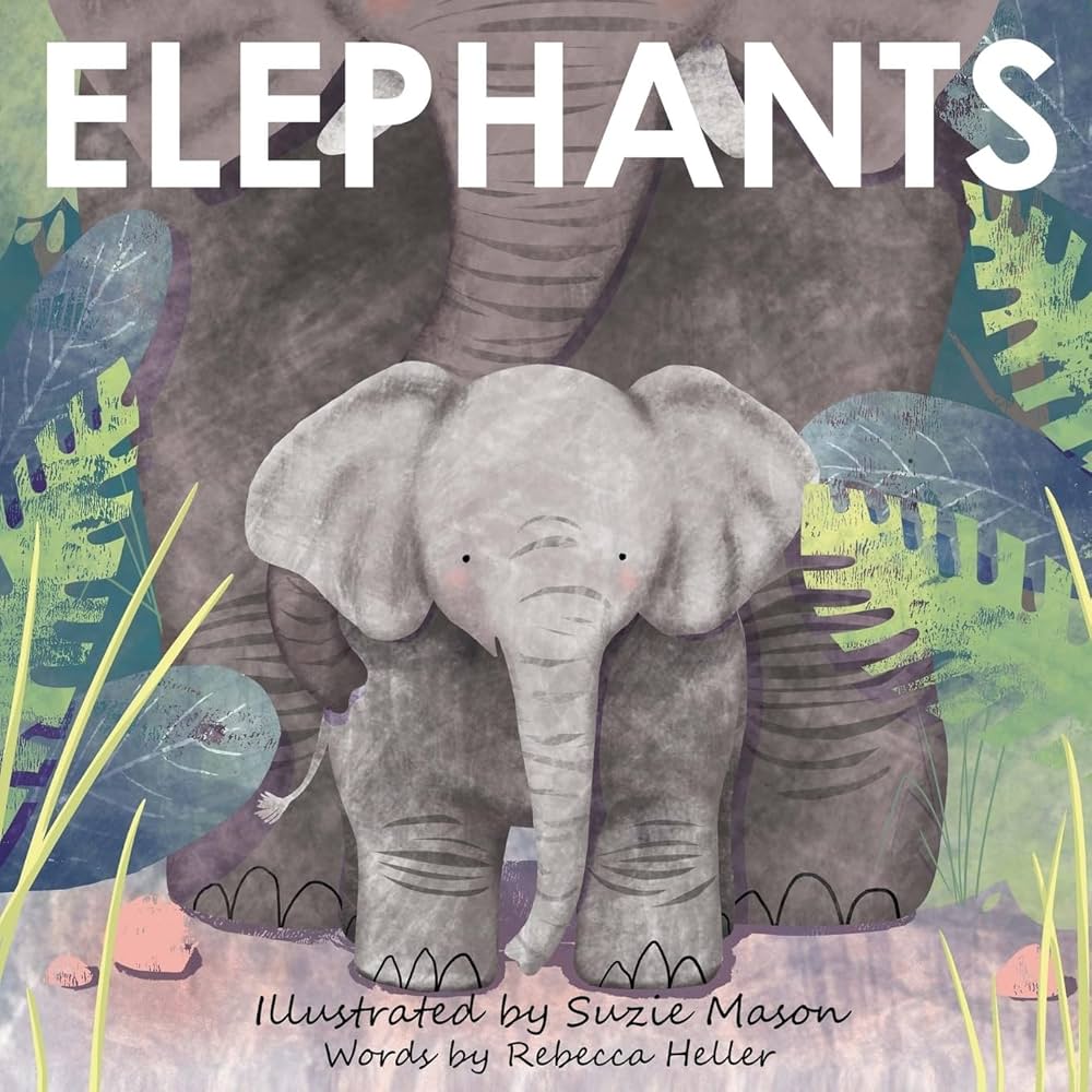 Elephant Brand 2冊 WM13.jpg?v=1540583046